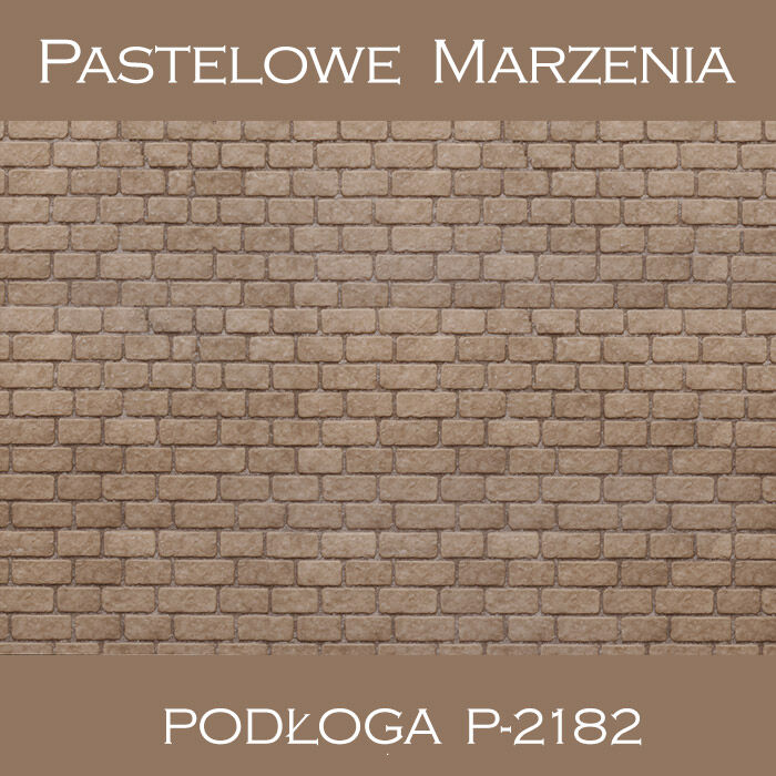 Vinyl photographic background, pavement p_2182