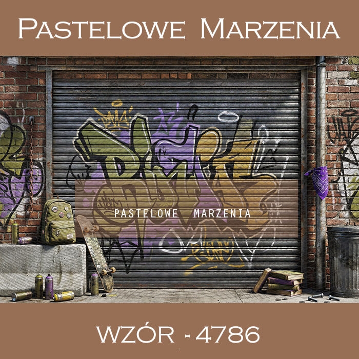 School photographic background with graffiti t_4786