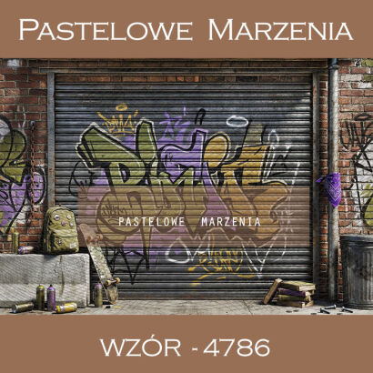 School photographic background with graffiti t_4786