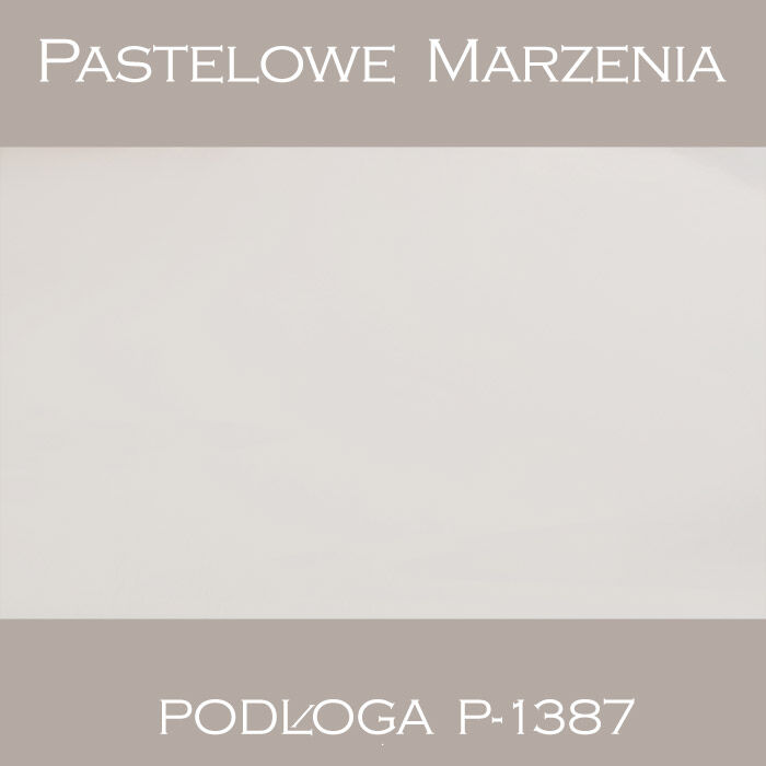 Tło fotograficzne winylowe, śnieg p_1387