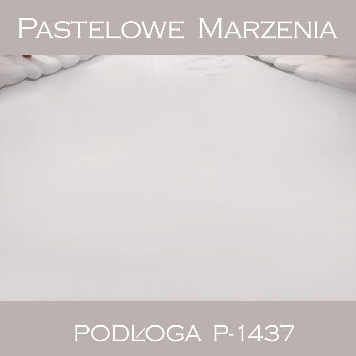 Photographic vinyl backdrop, snow p_1437