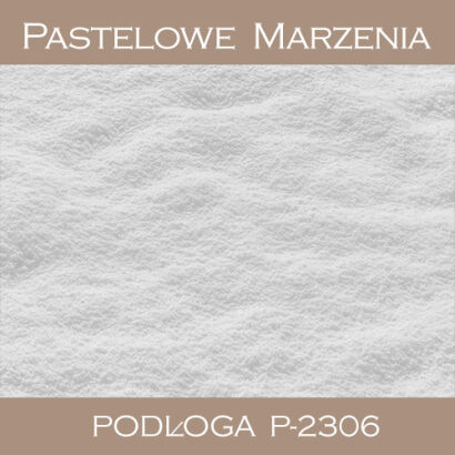 Vinyl photographic background, snow p_2306