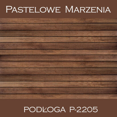 Vinyl photographic background, boards p_2205
