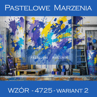School photographic background with graffiti t_4725 - 2