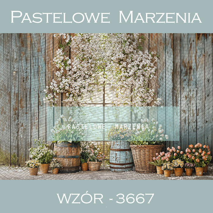 Photographic background 290x200 cm sale