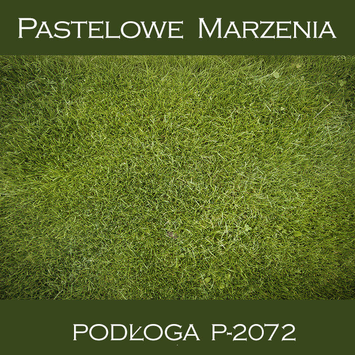 Vinyl photographic background, grass p_2072