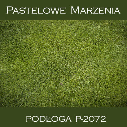 Vinyl photographic background, grass p_2072