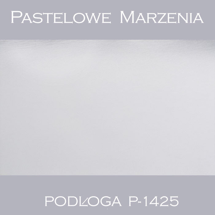 Photographic vinyl backdrop, snow p_1425