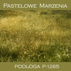 Photographic vinyl backdrop, grass p_1265