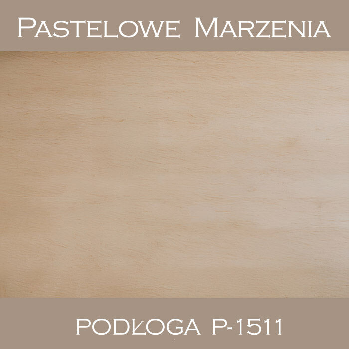 Vinyl photographic background, boards p_1511