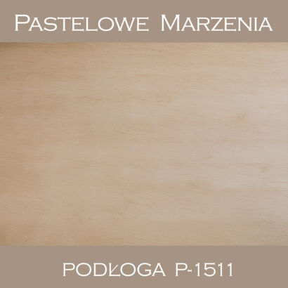 Vinyl photographic background, boards p_1511