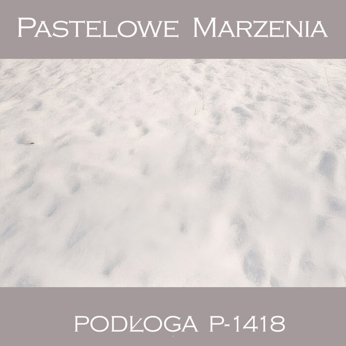 Photographic vinyl backdrop, snow p_1418