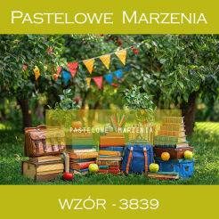 Photographic school backdrop with books t_3839