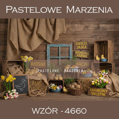 Tło fotograficzne wiosenne z kaczkami t_4660