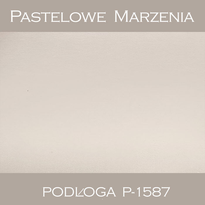 Vinyl photographic background, other p_1587