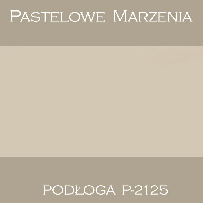 Vinyl photographic background, solid p_2125