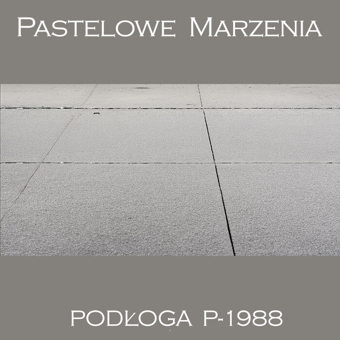 Tło fotograficzne winylowe, inne p_1988