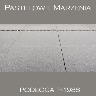 Tło fotograficzne winylowe, inne p_1988