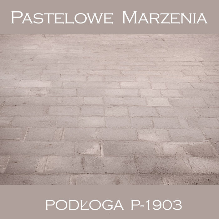 Vinyl photographic background, pavement p_1903