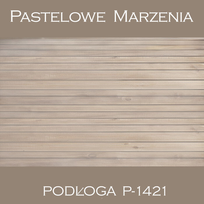 Photographic vinyl backdrop, boards p_1421