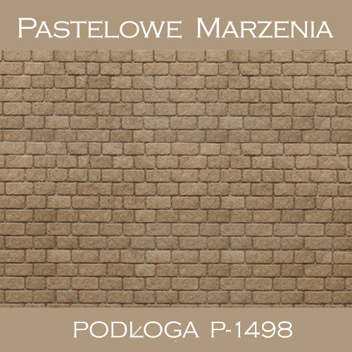 Photographic vinyl pavement p_1498
