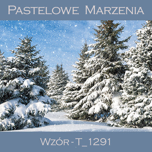 Tło fotograficzne materiałowe t_1291 - zima