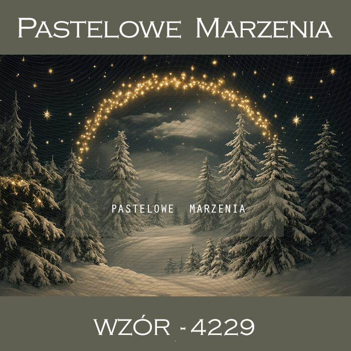 Christmas Photography Background with Arch t_4229