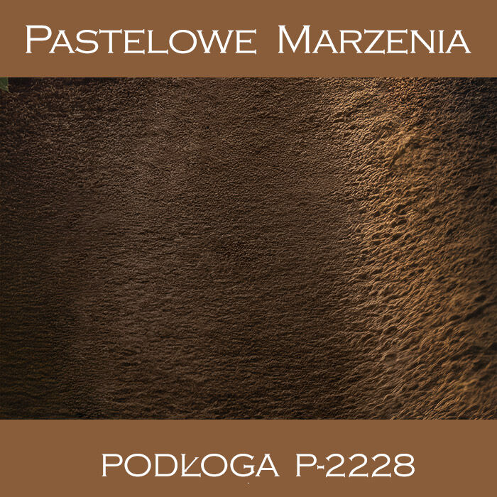 Vinyl photographic background, ground p_2228