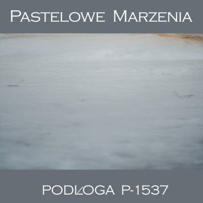 Tło fotograficzne winylowe, śnieg p_1537