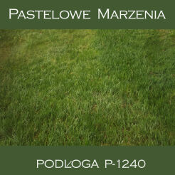 Photographic vinyl backdrop, grass p_1240