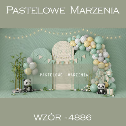 Tło fotograficzne urodzinowe z balonami t_4886
