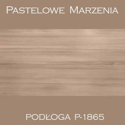 Vinyl photographic background, boards p_1865