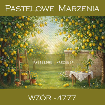 Tło fotograficzne letnie z owocami t_4777