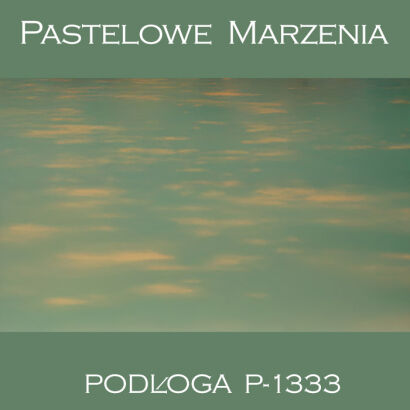Tło fotograficzne winylowe, inne p_1333