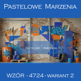 School photographic background with graffiti t_4724 - 2