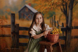 Photographic summer backdrop with fence t_3956 - 7