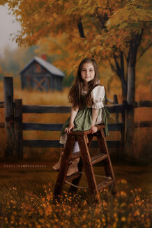 Photographic summer backdrop with fence t_3956 - 3