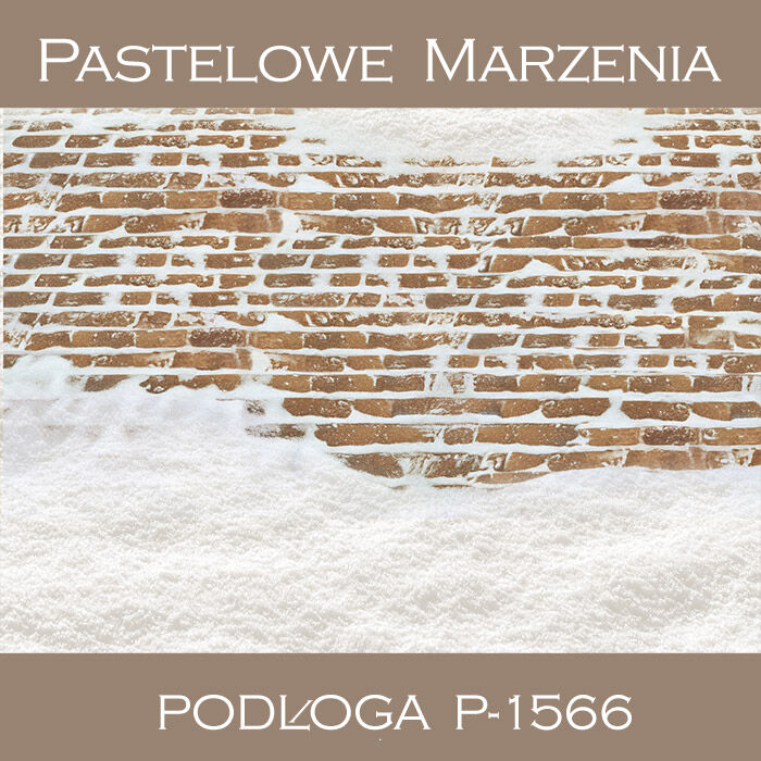 Tło fotograficzne winylowe, chodnik p_1566