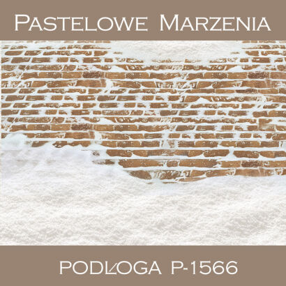 Tło fotograficzne winylowe, chodnik p_1566