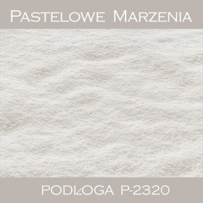 Vinyl photographic background, snow p_2320