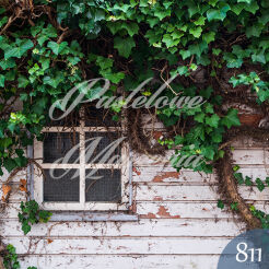 Photographic backdrop