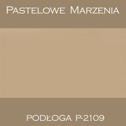 Vinyl photographic background, solid p_2109