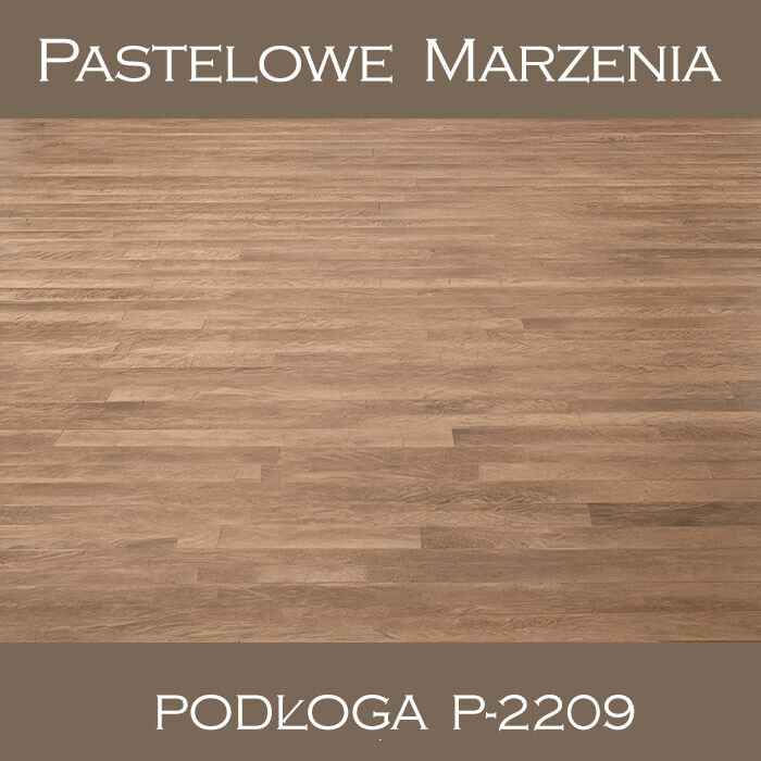 Vinyl photographic background, boards p_2209