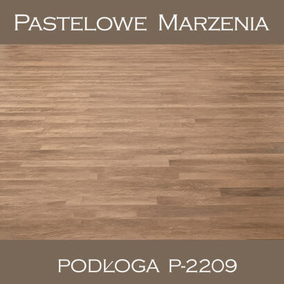 Vinyl photographic background, boards p_2209