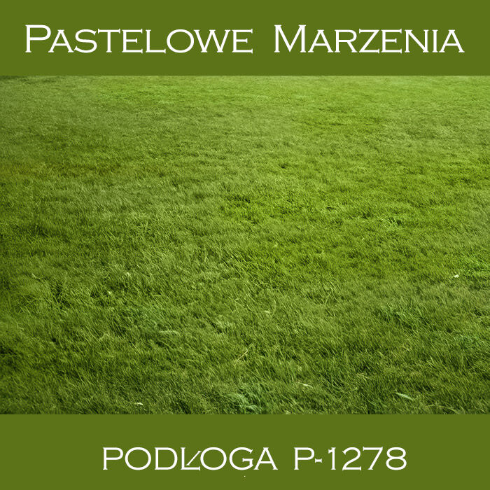 Tło fotograficzne winylowe, trawa p_1278