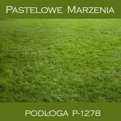 Photographic vinyl backdrop, grass p_1278