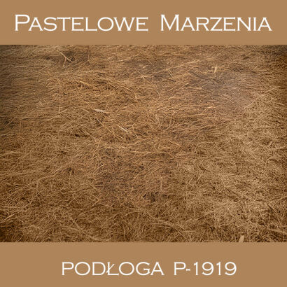 Tło fotograficzne winylowe, inne p_1919