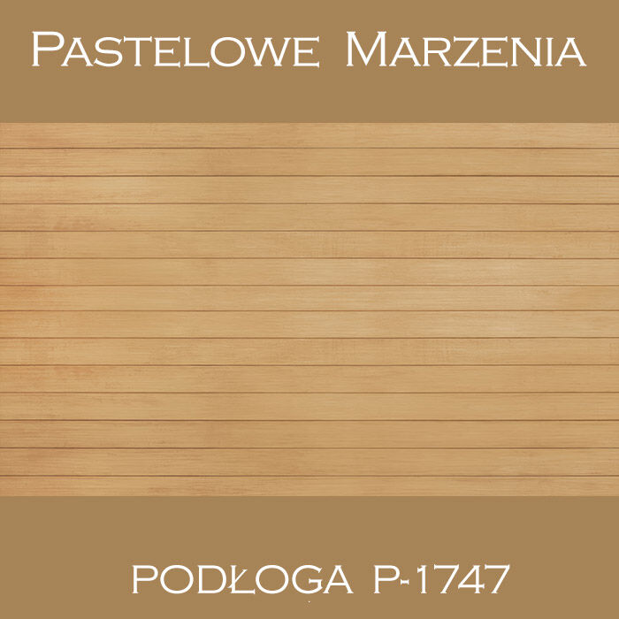 Vinyl photographic background, boards p_1747