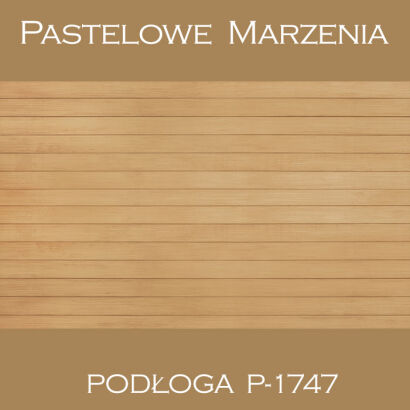 Vinyl photographic background, boards p_1747