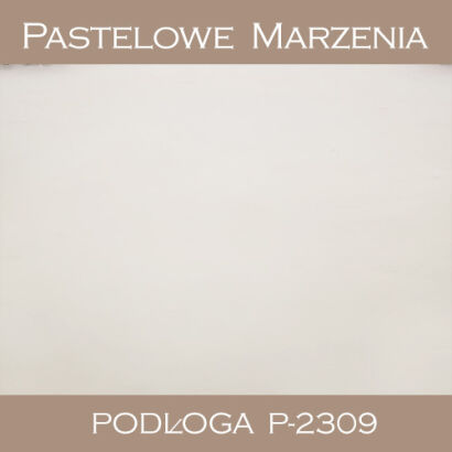 Vinyl photographic background, snow p_2309